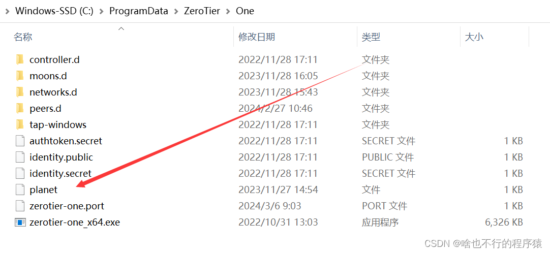 Zerotier-Planet001.png